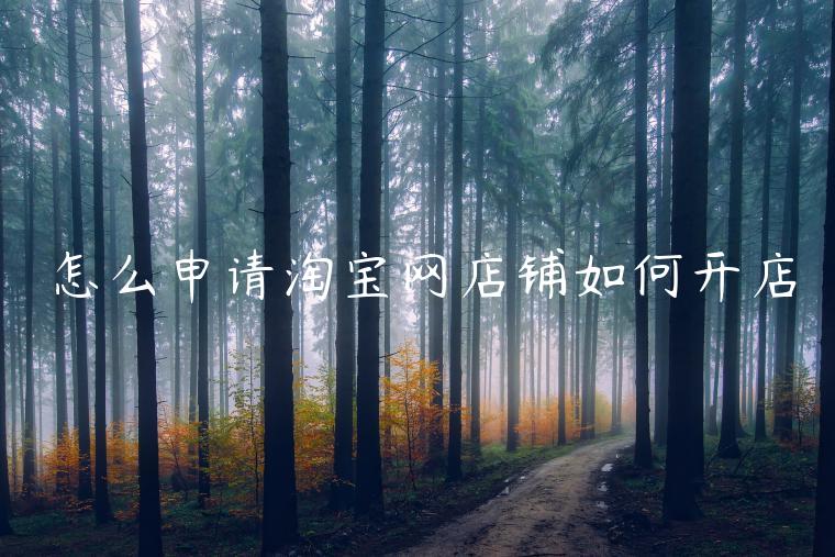 怎么申請(qǐng)?zhí)詫毦W(wǎng)店鋪如何開(kāi)店